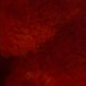 Meet your Posher, Halane